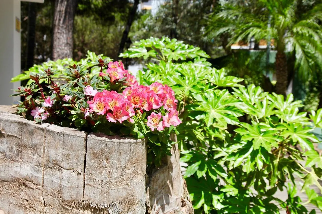 Top Apartment in Los Jardines de las Golondrinas Marbella